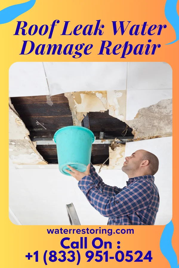 Roof Leak Water Damage Repair in Linden, TX